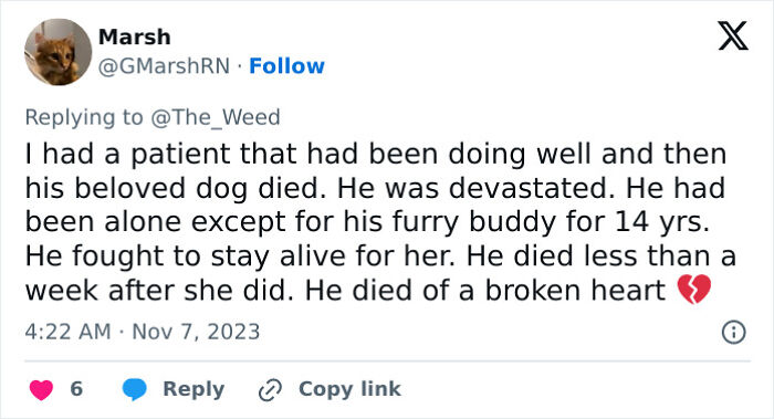 “Pets Are Family”: Family Therapist Explains Why Pets Mean So Much More Than That To Their Humans “Pets Are Family”: Family Therapist Explains Why Pets Mean So Much More Than That To Their Humans
