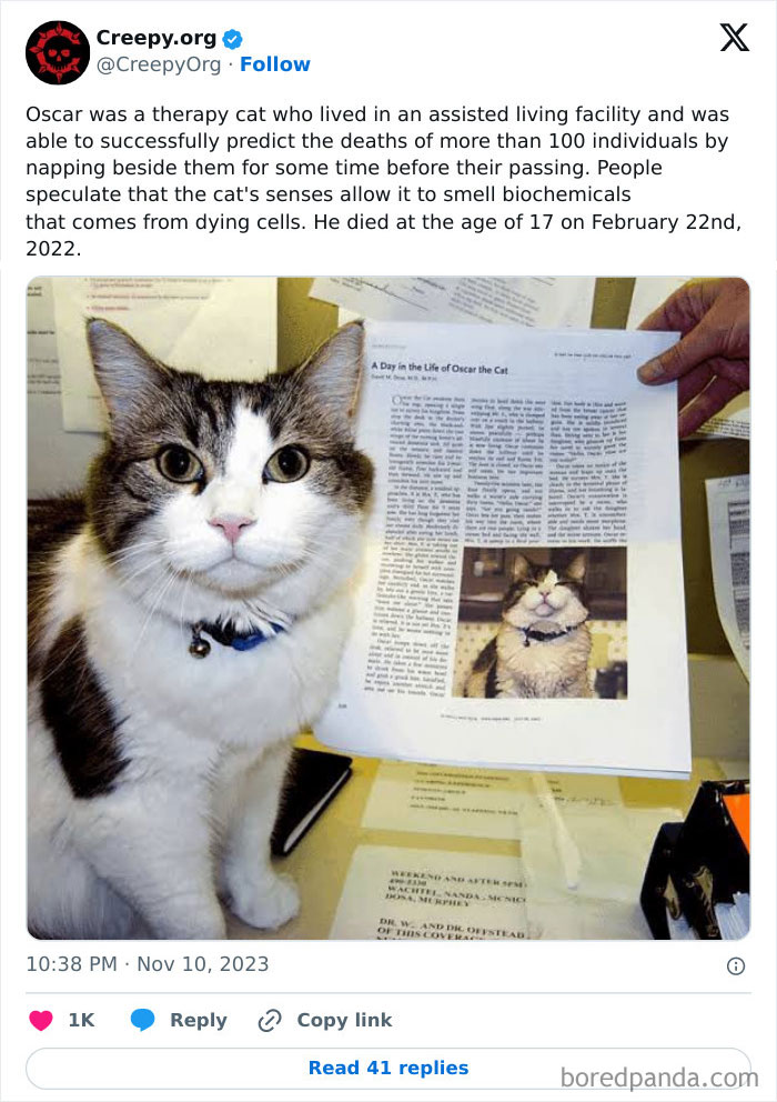 Creepy-Tweets-Stories-Pics