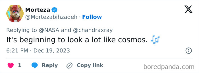 NASA Finds Cluster Of Young Stars That Looks Exactly Like A &ldquo;Cosmic Christmas Tree&rdquo;