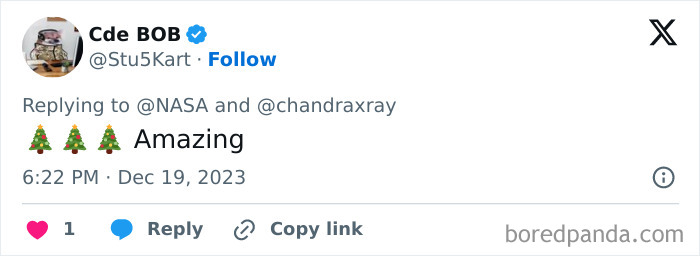 NASA Finds Cluster Of Young Stars That Looks Exactly Like A &ldquo;Cosmic Christmas Tree&rdquo;