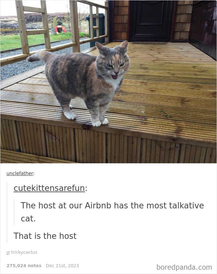 Wholesome-Funny-Memes