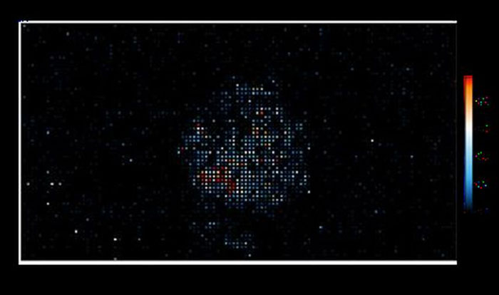 &ldquo;Things Are About To Get Weird&rdquo;: Scientists Use Human Brain Cells On Chip, It Can Now Do Simple Math