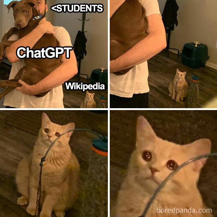 A meme with a dog labeled "ChatGPT" in a student's arms, and a cat labeled "Wikipedia" looking displeased in the background.