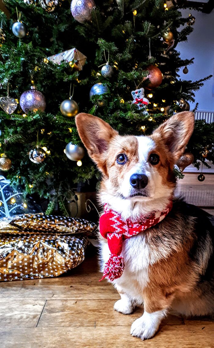 Stylialised Because We Used It For Christmas Cards