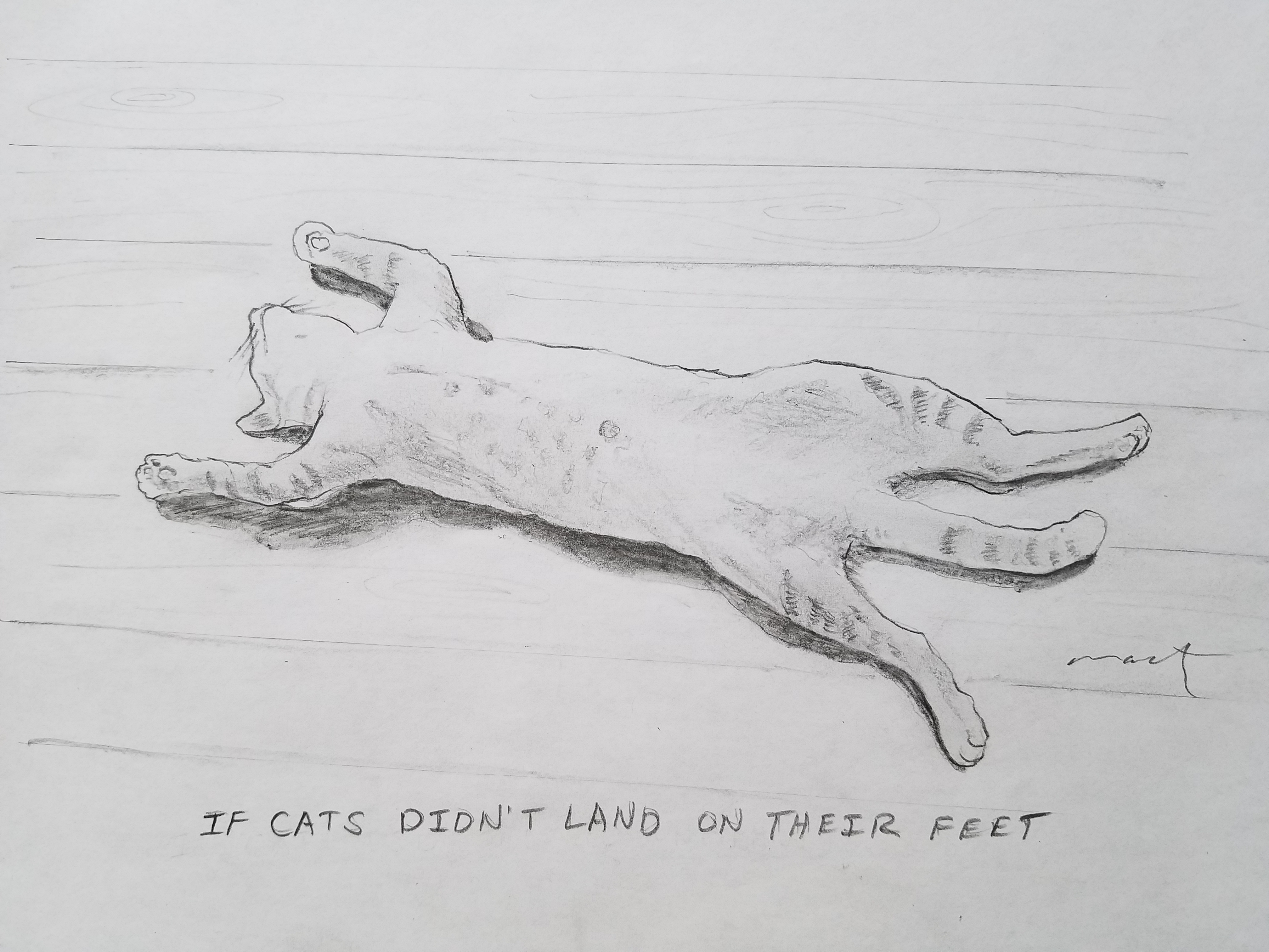 Cats