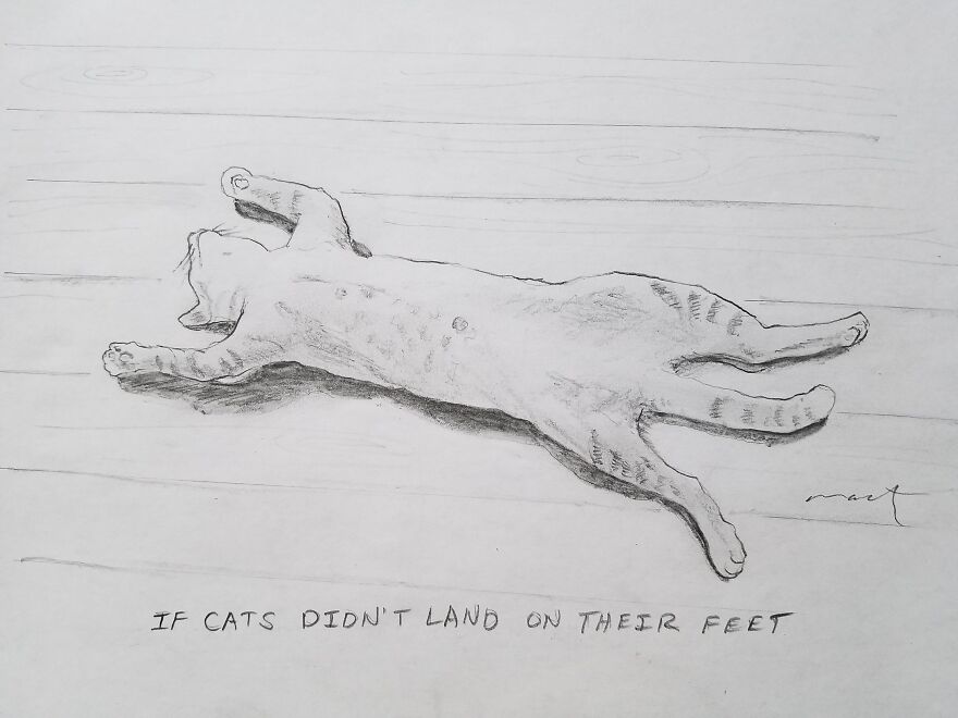 Cats