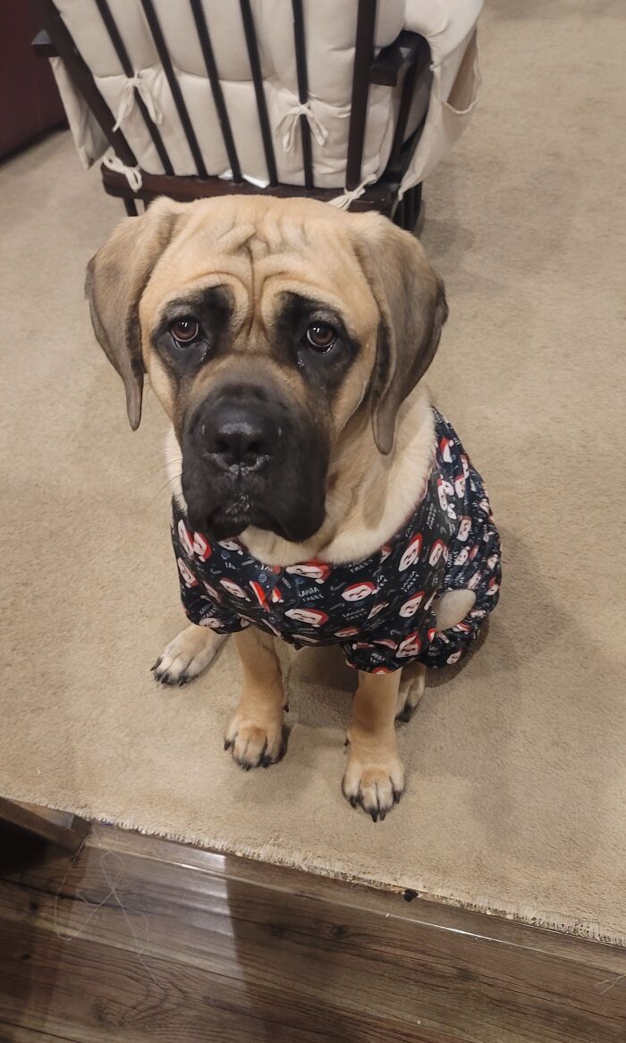 Marlowe Anne But At Christmas She Is Marlowe May Whovier Of Whoville!