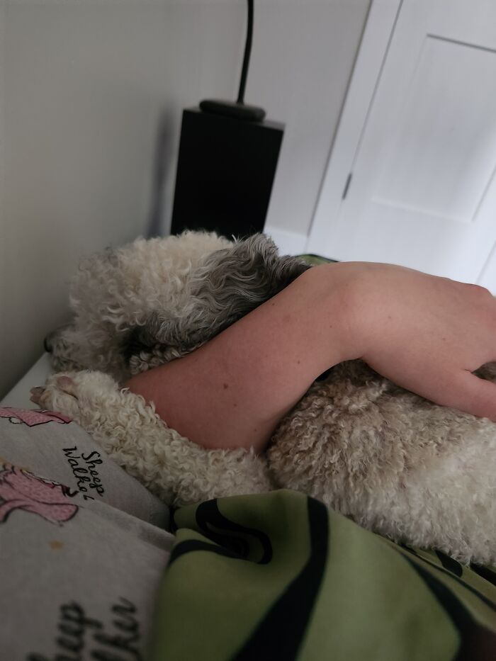 She Likes To Hold My Arm When She Takes A Nap