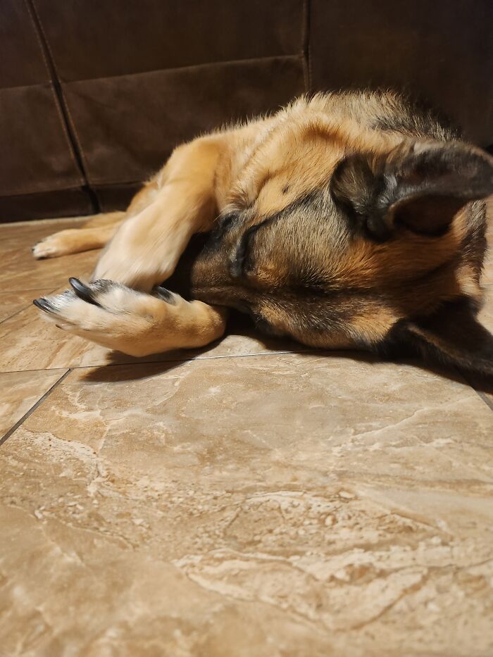 Nap Time For Pepper :)