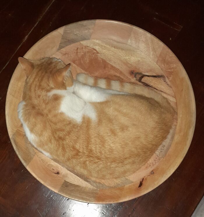 Should Have Been A Fruit Bowl