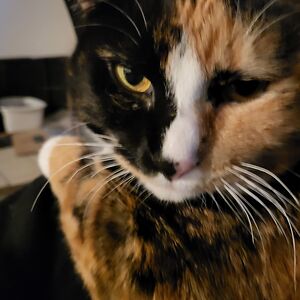 emersonkennedy avatar