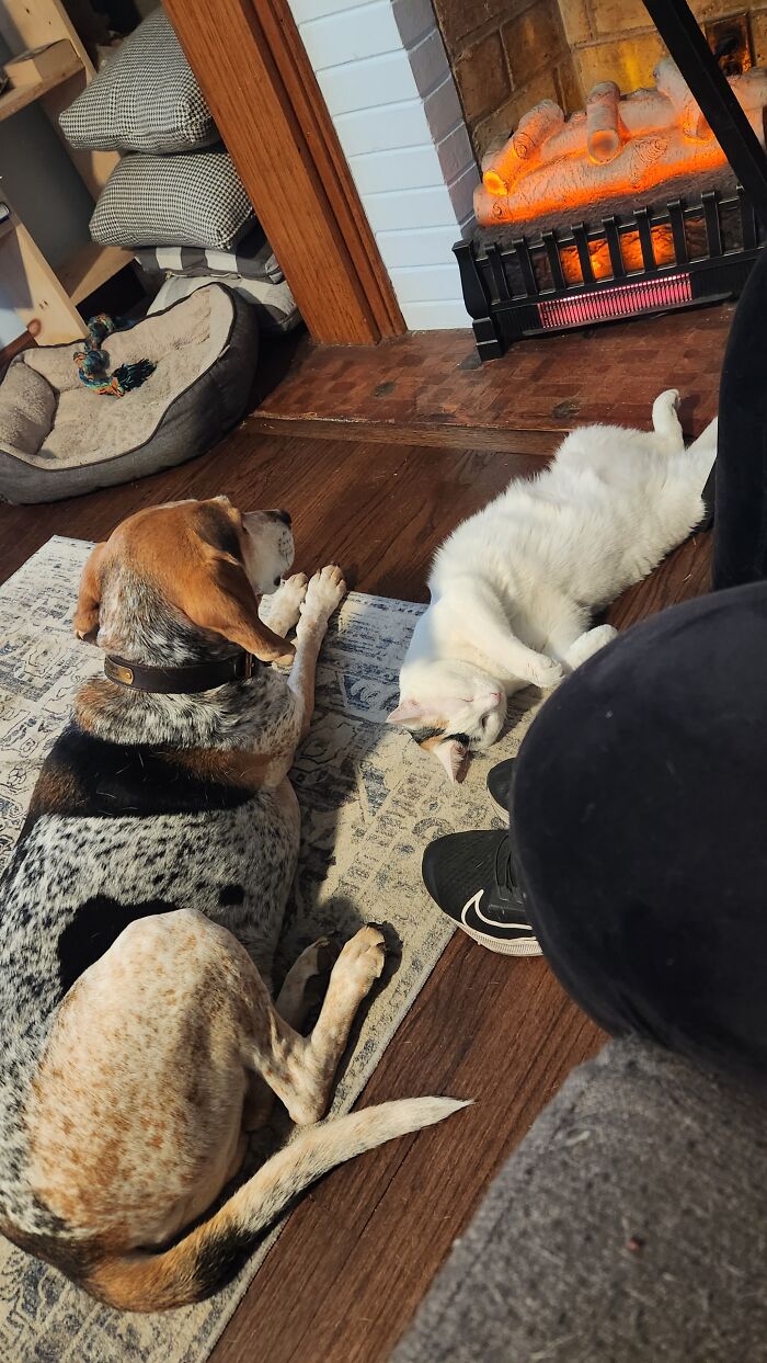 Waiting In Line For The Heater