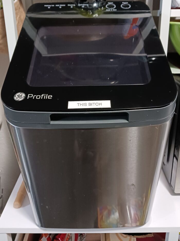 Did I Need A $300 "Sonic" Ice Maker? No. Do I Love It More Than Life Itself? Yes. Yes I Do