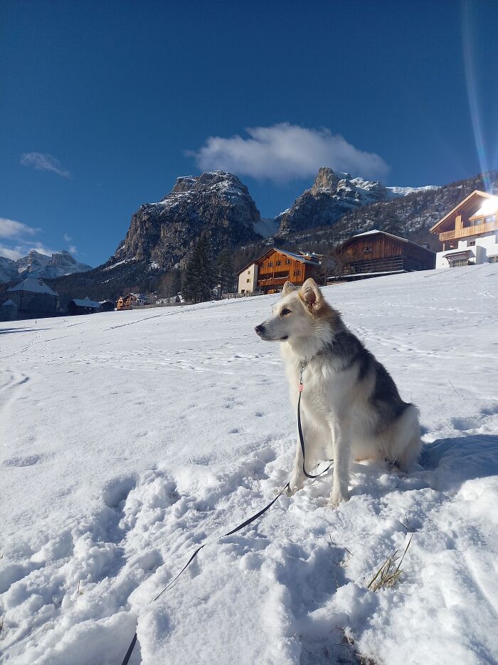 First Snow Of The Season!