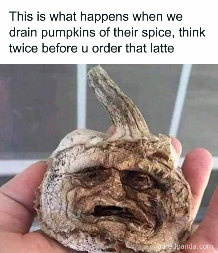 Amusing-Parenting-Memes