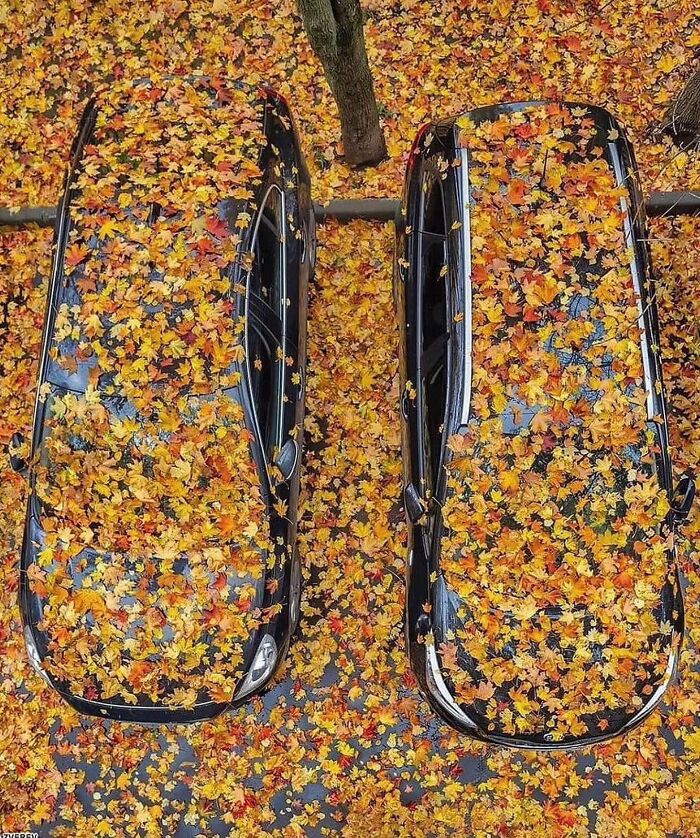 This Instagram Account Features Amusing Street Photographs And Has More Than 650 Thousand Followers (50 New Pics)