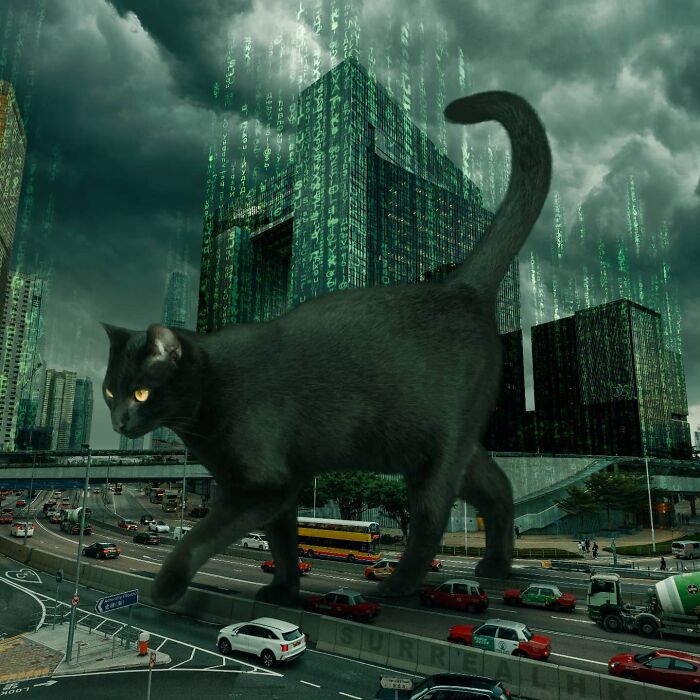 Digital Artist Shows What Hong Kong Would Be Like If Giant Animals Invaded It (34 Pics)