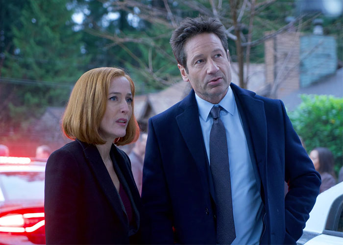 30 People Share Movies Where The "Strong Female Lead" Was Actually Done Right