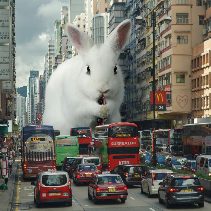 Digital Artist Shows What Hong Kong Would Be Like If Giant Animals Invaded It (34 Pics)