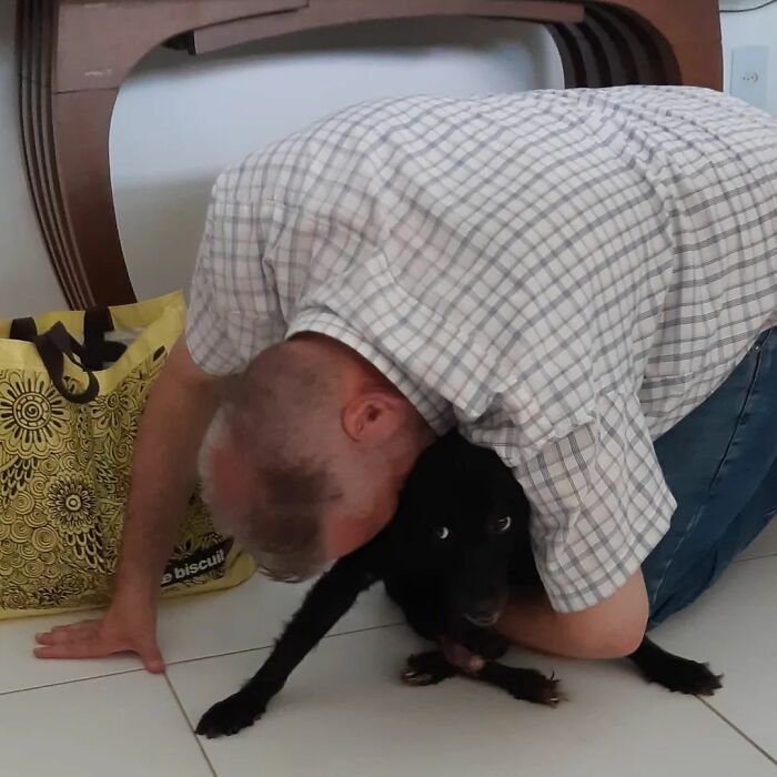 This Loving Priest Continues To Collect Stray Dogs At His Church, Encouraging People To Adopt Them