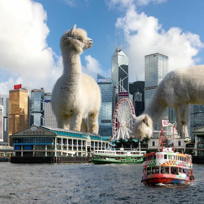 Digital Artist Shows What Hong Kong Would Be Like If Giant Animals Invaded It (34 Pics)