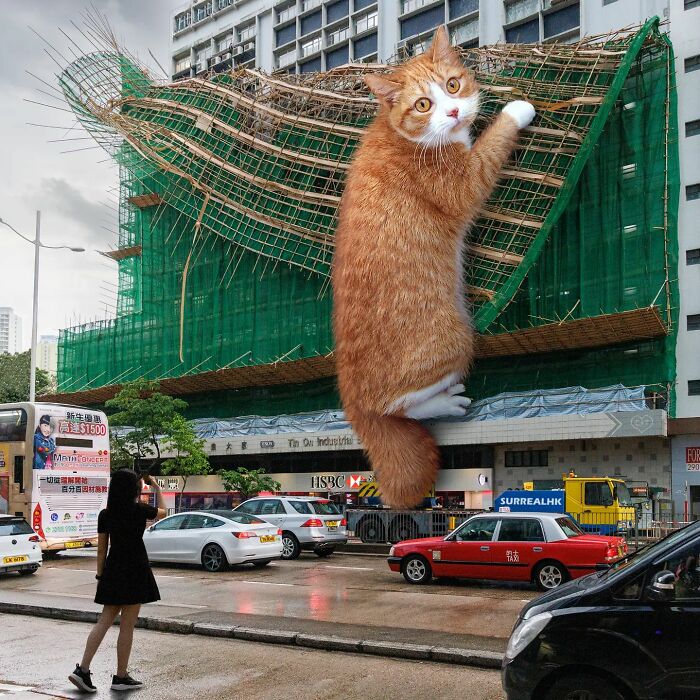 Digital Artist Shows What Hong Kong Would Be Like If Giant Animals Invaded It (34 Pics)