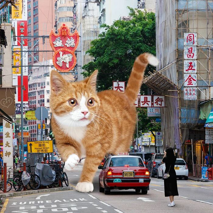 Digital Artist Shows What Hong Kong Would Be Like If Giant Animals Invaded It (34 Pics)