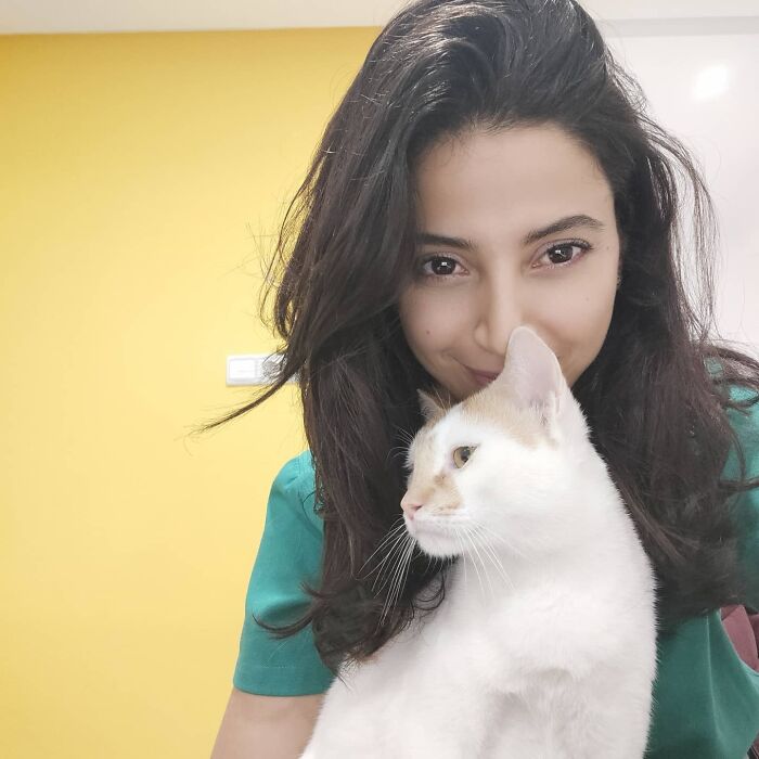 After Vet Rescued Rico As A Kitten, He&rsquo;s Been Paying It Back By Taking Care Of Patients