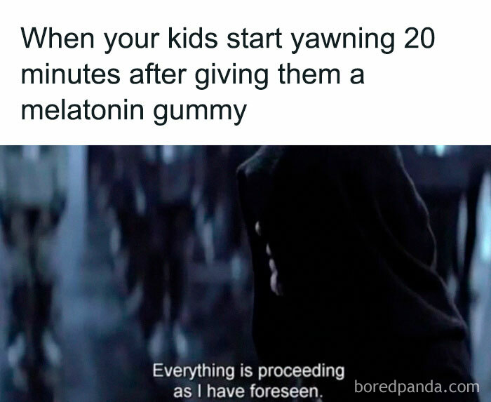 Amusing-Parenting-Memes