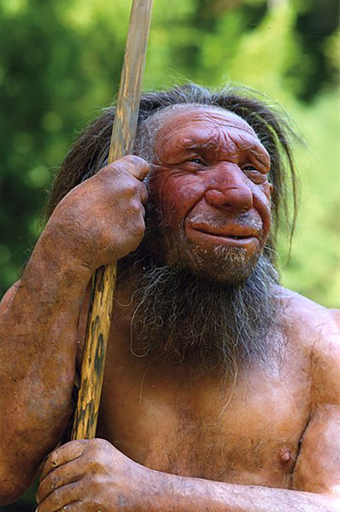 People Who Go To Bed And Wake Up Early May Share DNA With Neanderthals And Denisovans