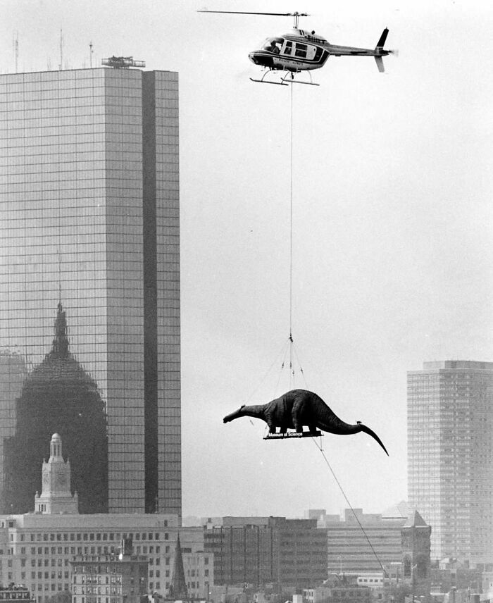 This Instagram Account Features Amusing Street Photographs And Has More Than 650 Thousand Followers (50 New Pics)