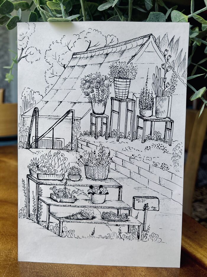 Spring Flowers Have Bloomed