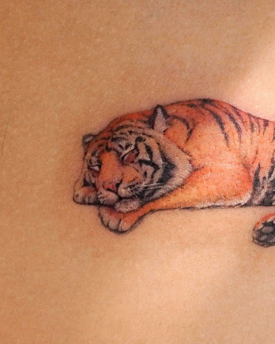 Tattoo of a resting tiger on skin, showcasing elements of nature by a Korean ink artist.