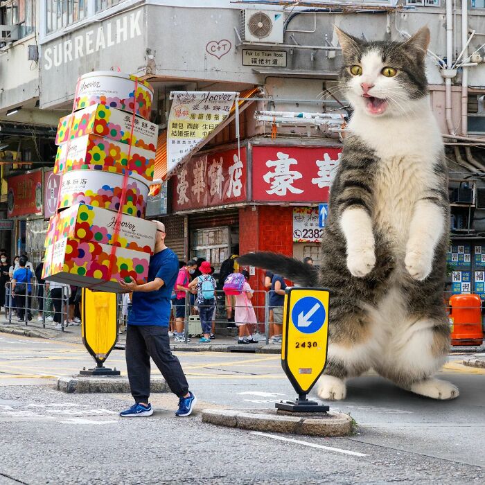 Digital Artist Shows What Hong Kong Would Be Like If Giant Animals Invaded It (34 Pics)