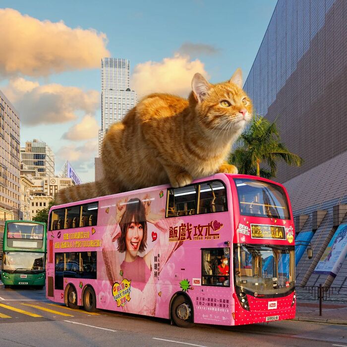 Digital Artist Shows What Hong Kong Would Be Like If Giant Animals Invaded It (34 Pics)