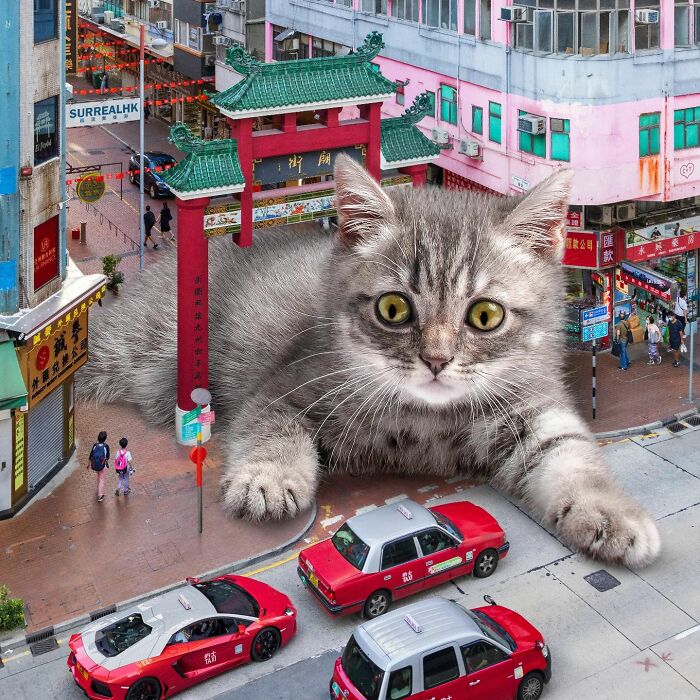 Digital Artist Shows What Hong Kong Would Be Like If Giant Animals Invaded It (34 Pics)