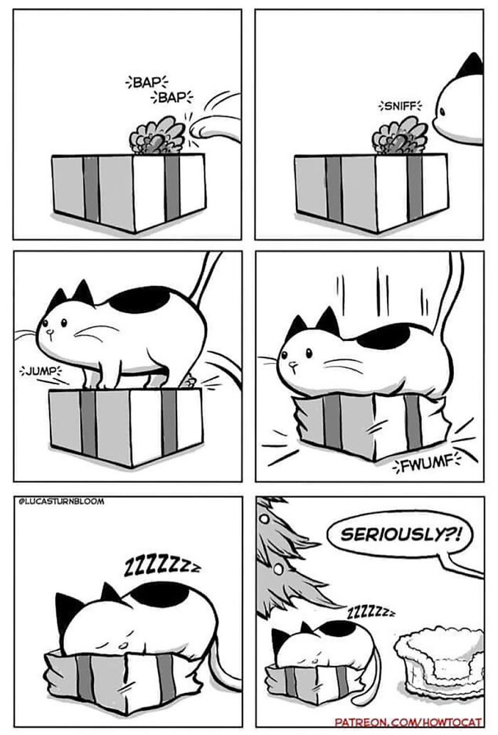 Black and white comic of a cat interacting with and sleeping in a squished box, illustrating relatable cat behavior.