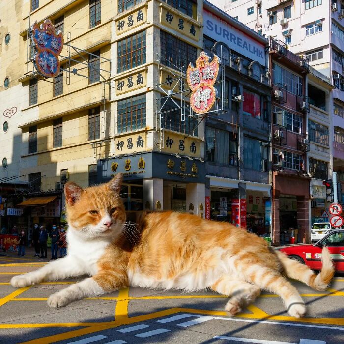 Digital Artist Shows What Hong Kong Would Be Like If Giant Animals Invaded It (34 Pics)
