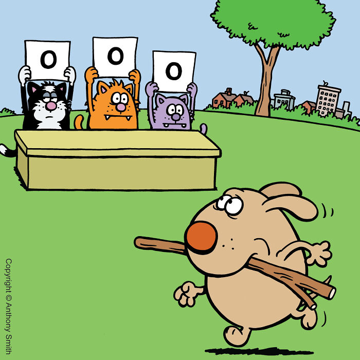Three cats holding up scorecards with zeros judging a dog running with sticks in a comic about the nature of cats.
