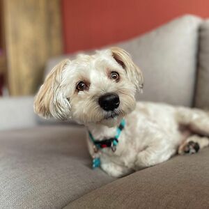 daniela_d_la_garza avatar