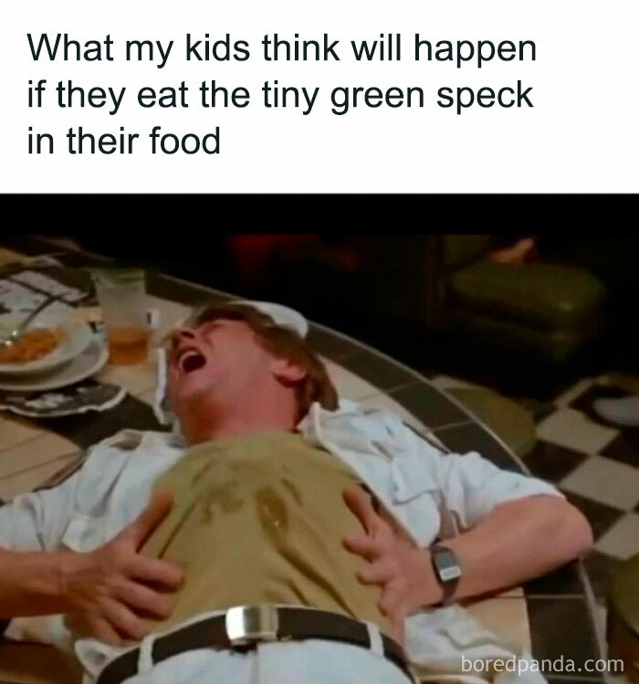 Amusing-Parenting-Memes