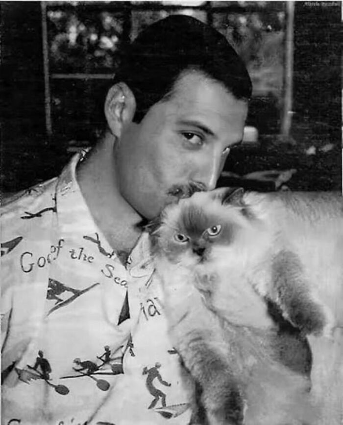 56 Vintage Photos Of Cats Posing With Famous People And Interesting Personalities (New Pics)