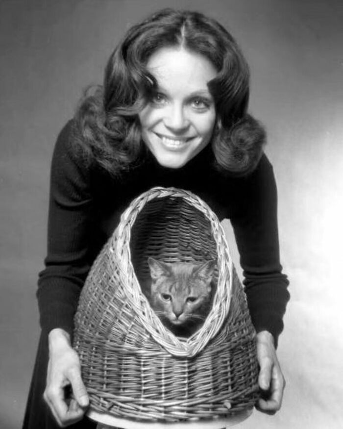 56 Vintage Photos Of Cats Posing With Famous People And Interesting Personalities (New Pics)