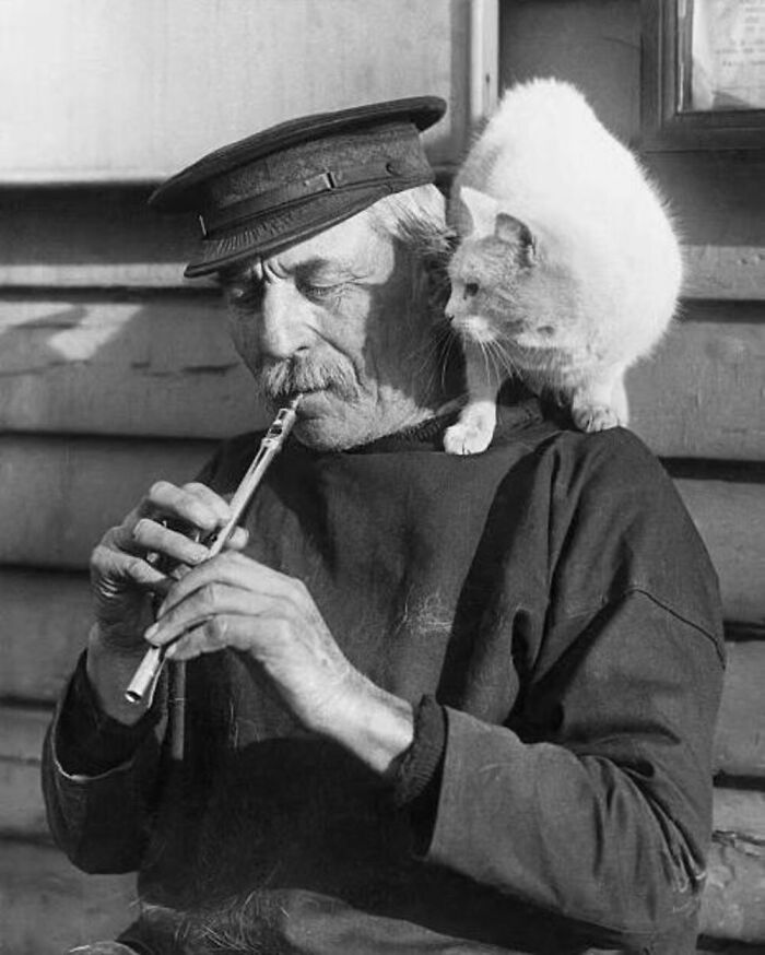 56 Vintage Photos Of Cats Posing With Famous People And Interesting Personalities (New Pics)