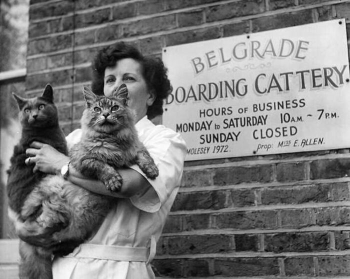56 Vintage Photos Of Cats Posing With Famous People And Interesting Personalities (New Pics)