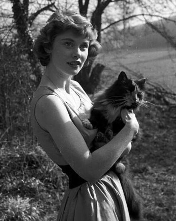 56 Vintage Photos Of Cats Posing With Famous People And Interesting Personalities (New Pics)
