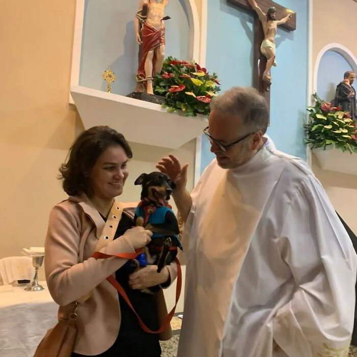 This Loving Priest Continues To Collect Stray Dogs At His Church, Encouraging People To Adopt Them