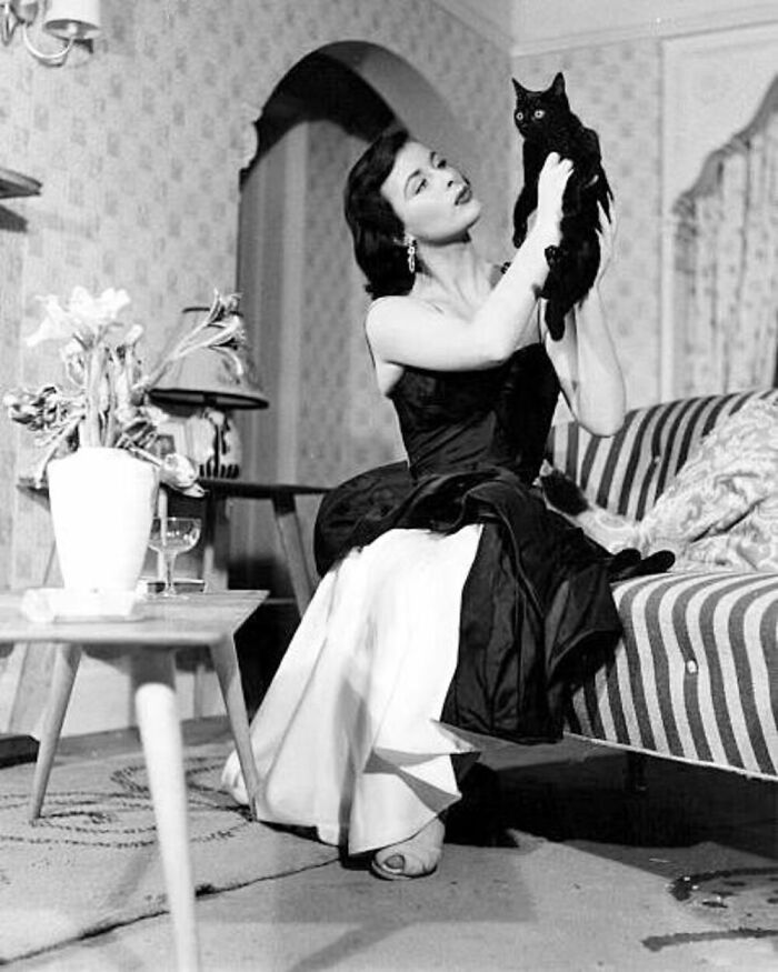 56 Vintage Photos Of Cats Posing With Famous People And Interesting Personalities (New Pics)