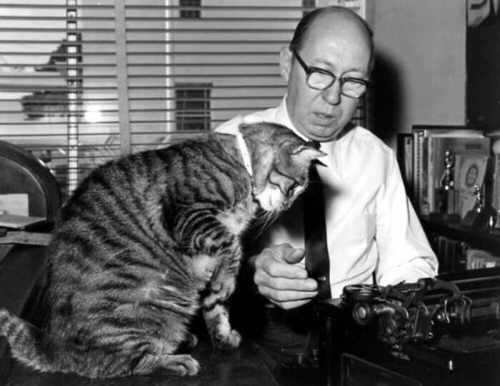 56 Vintage Photos Of Cats Posing With Famous People And Interesting Personalities (New Pics)