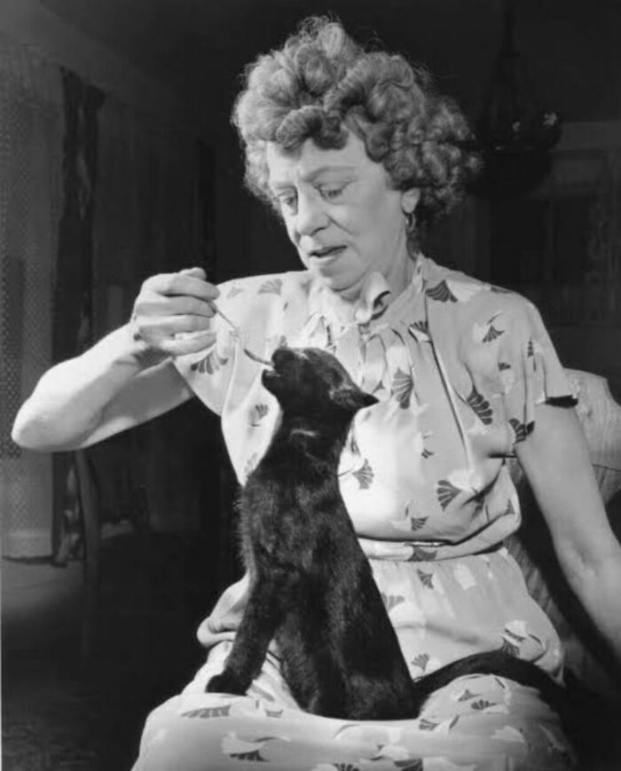 56 Vintage Photos Of Cats Posing With Famous People And Interesting Personalities (New Pics)